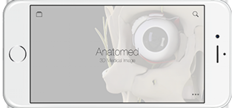 Anatomed 3D imagen médica