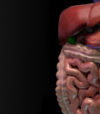 Simulador 3D de RM para Gastoenterología
